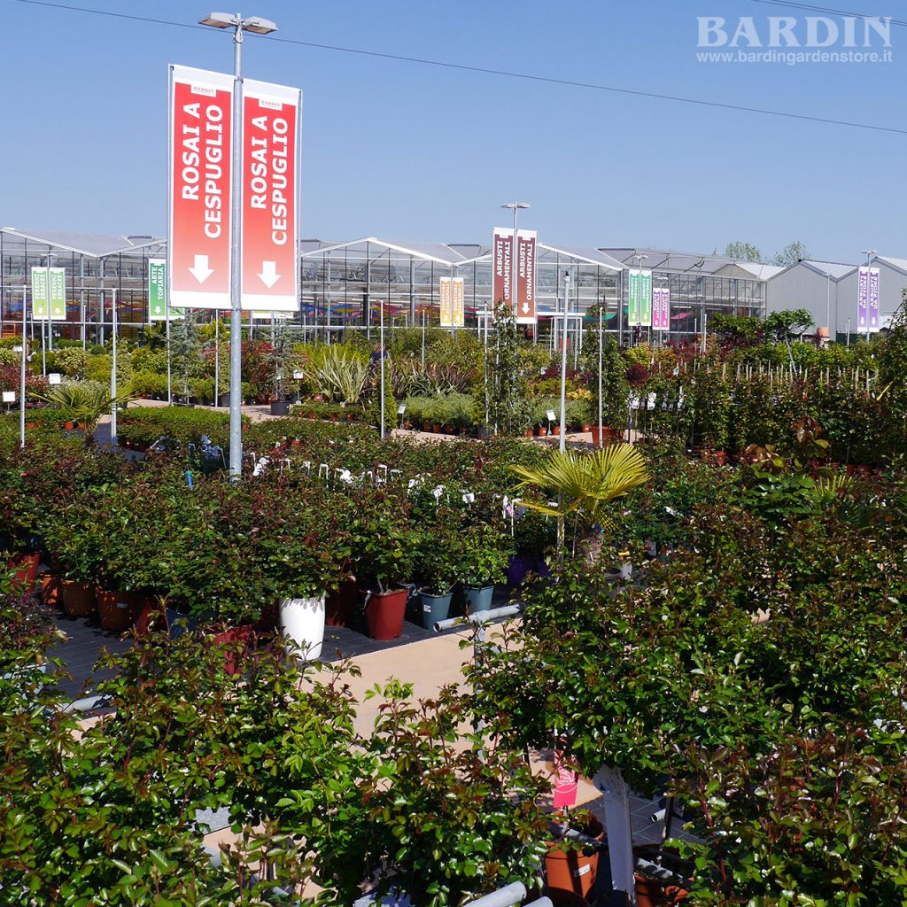 Bardin Garden Center - Giardinia