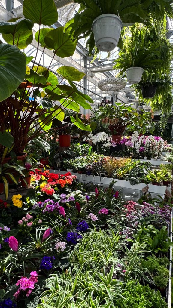 Pellegrini Centro Giardinaggio