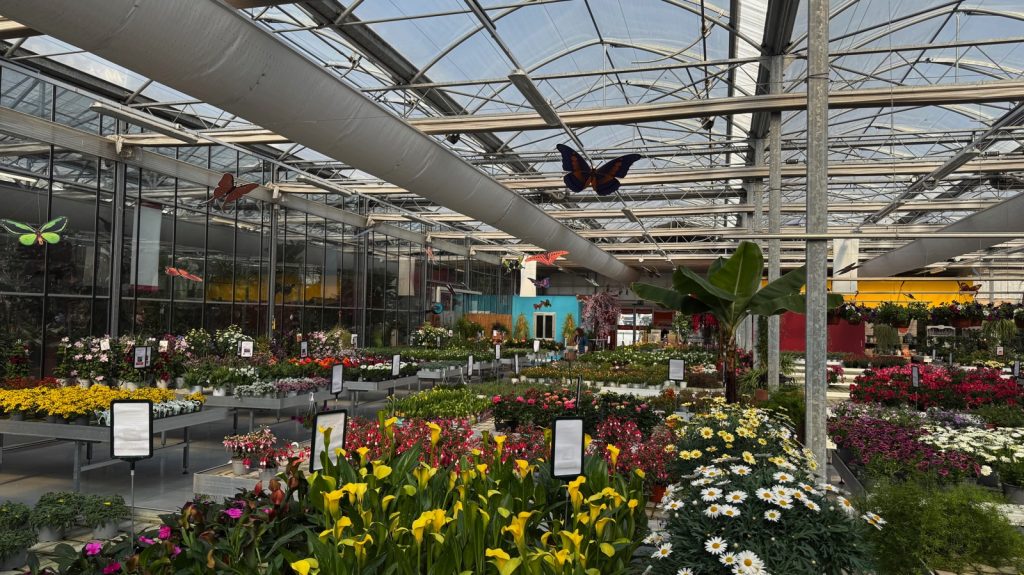 Pellegrini Centro Giardinaggio