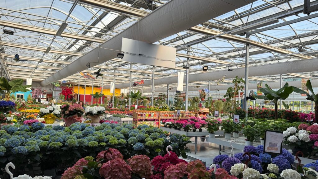 Pellegrini Centro Giardinaggio