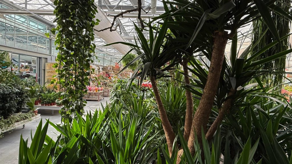 Pellegrini Centro Giardinaggio