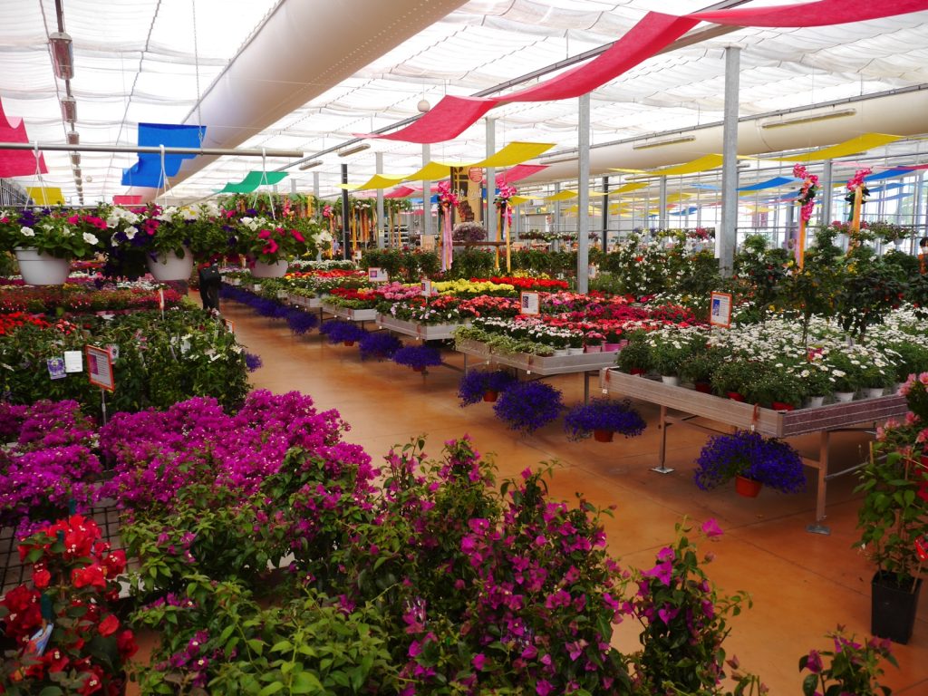 Bardin Garden Store - Lancenigo Di Villorba (TV)