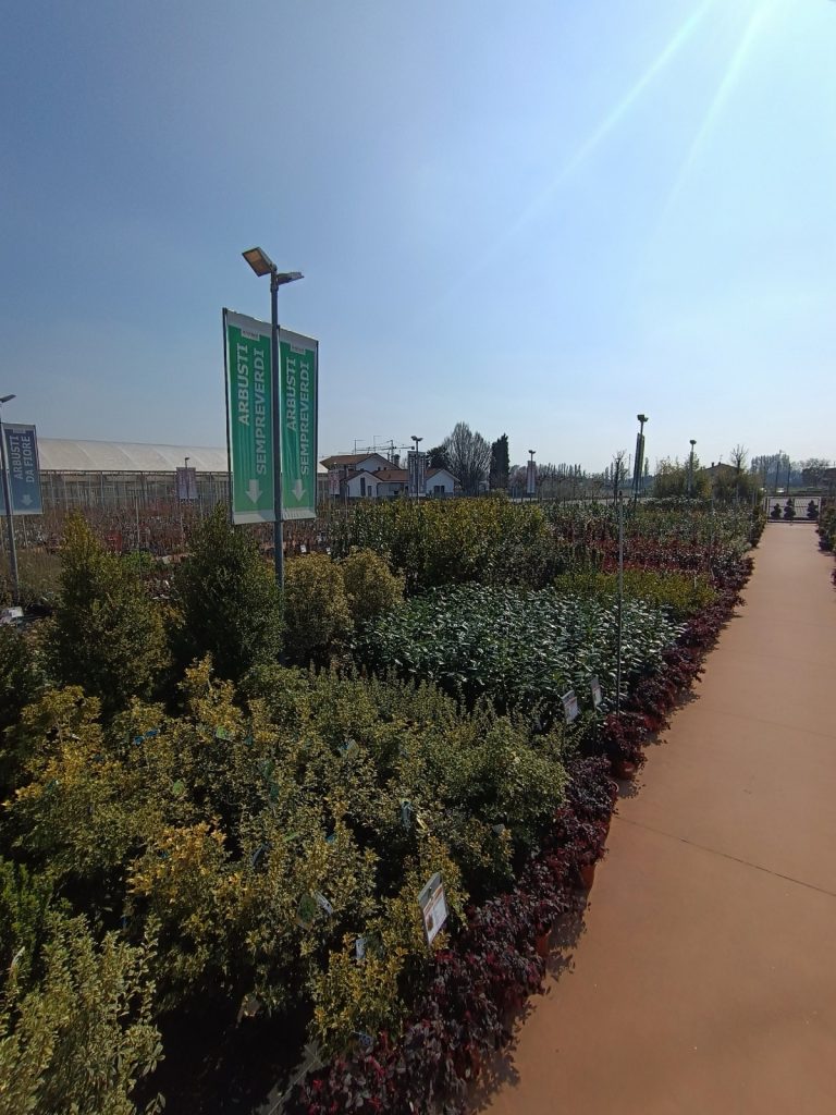 Bardin Garden Store - Lancenigo Di Villorba (TV)