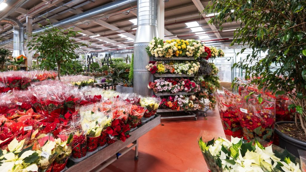 Città Flora Garden Center - Martignacco (UD)