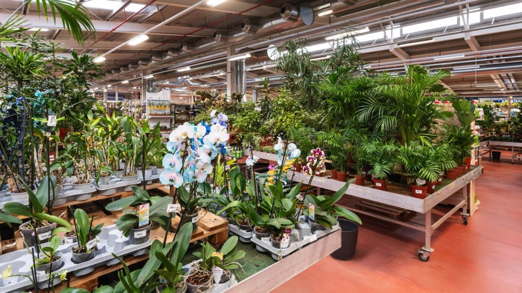 Città Flora Garden Center - Martignacco (UD)