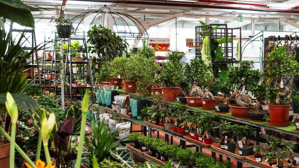 Città Flora Garden Center - Martignacco (UD)