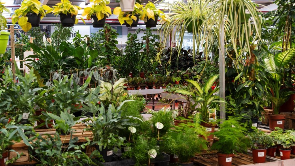 Città Flora Garden Center - Martignacco (UD)