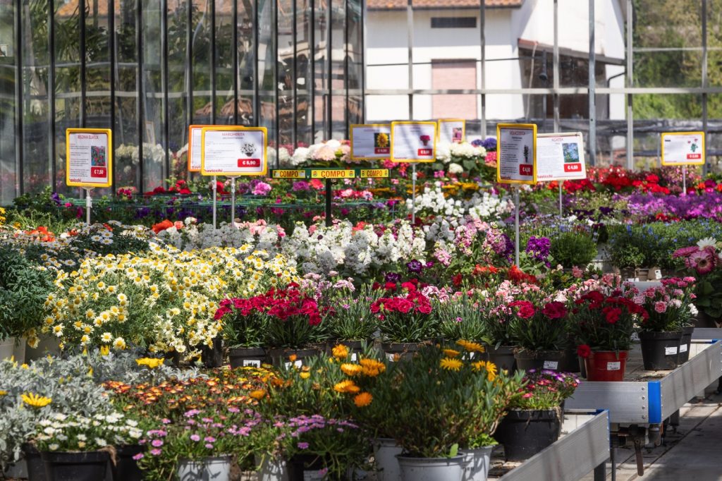 Bavicchi Centro Giardinaggio