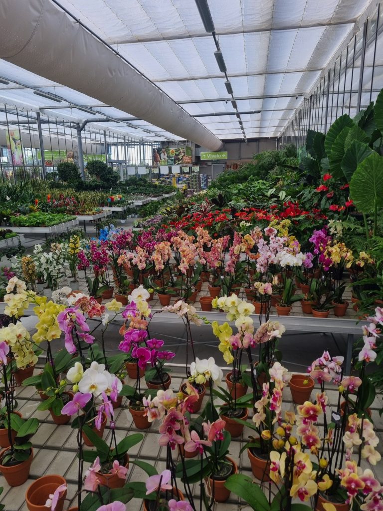 Cellilli Garden Store