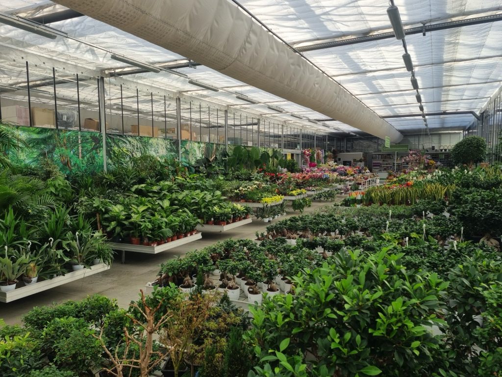 Cellilli Garden Store