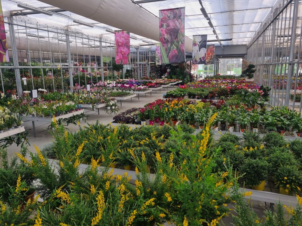 Cellilli Garden Store