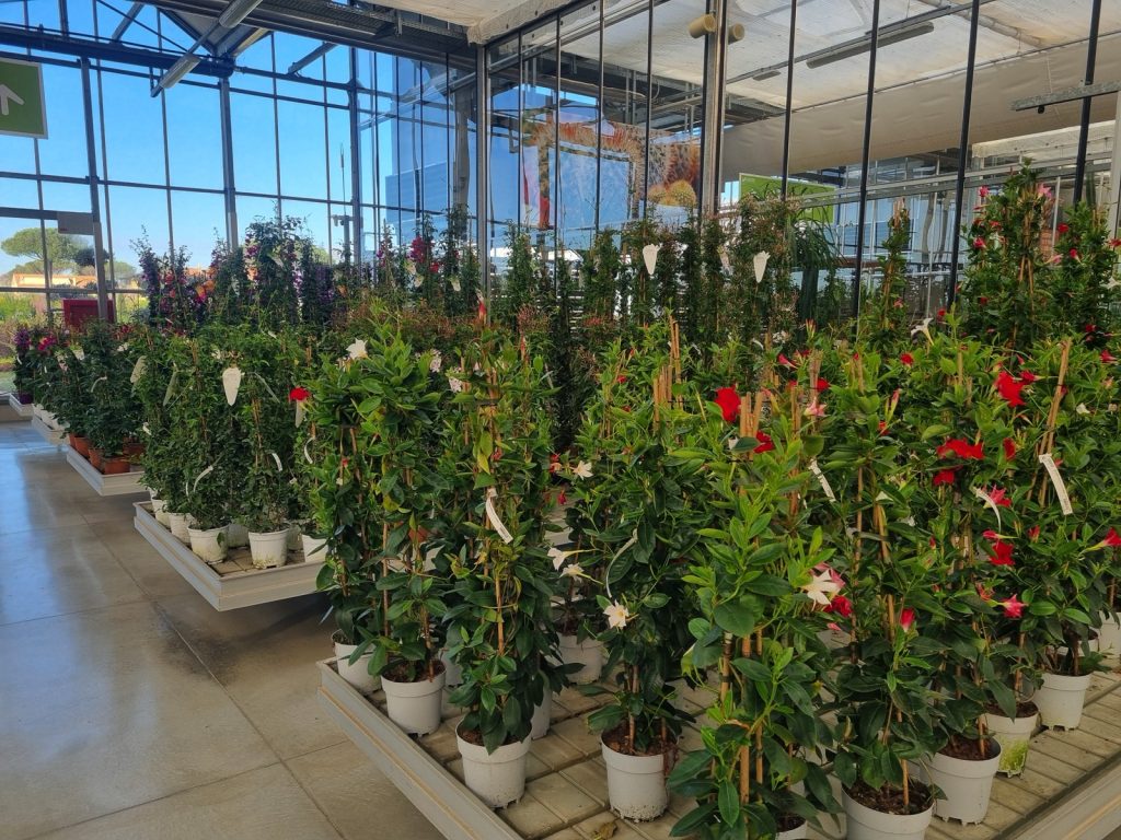 Cellilli Garden Store