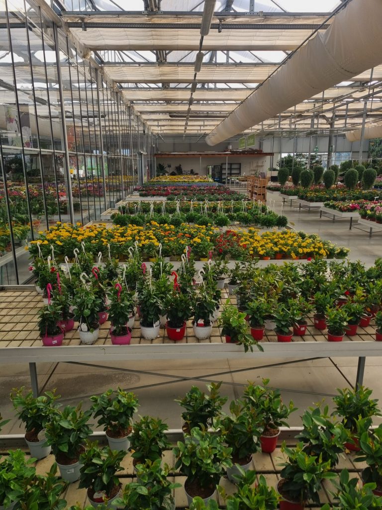 Cellilli Garden Store