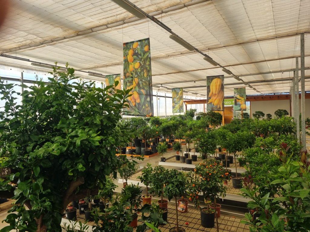 Cellilli Garden Store