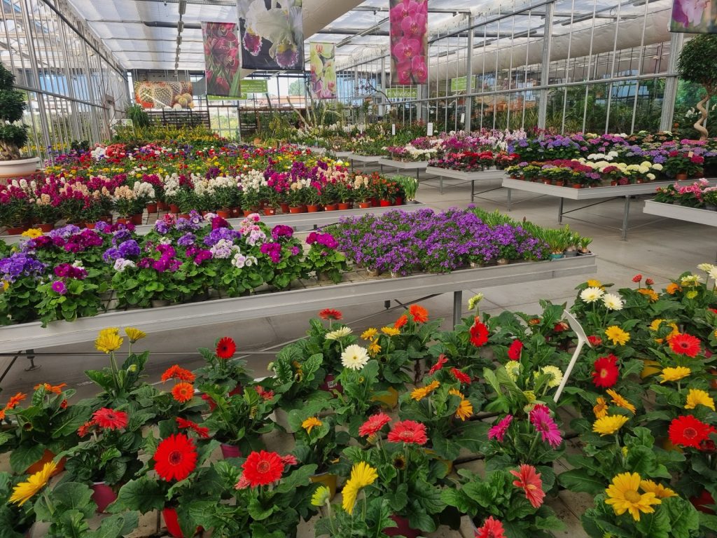 Cellilli Garden Store
