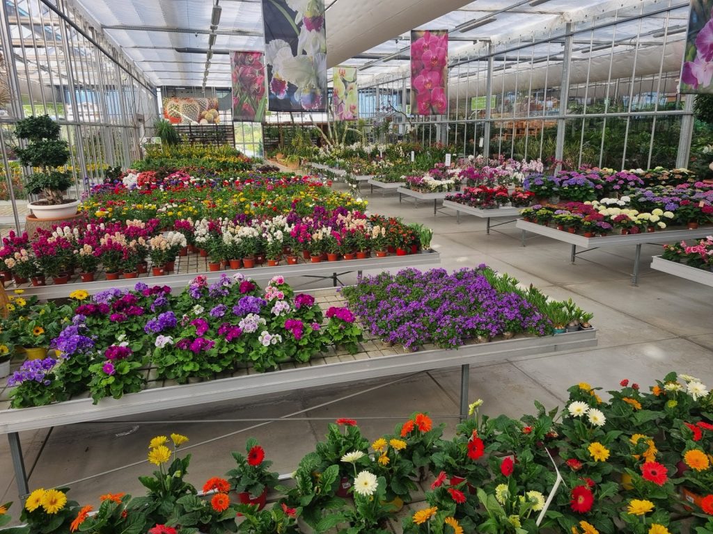 Cellilli Garden Store