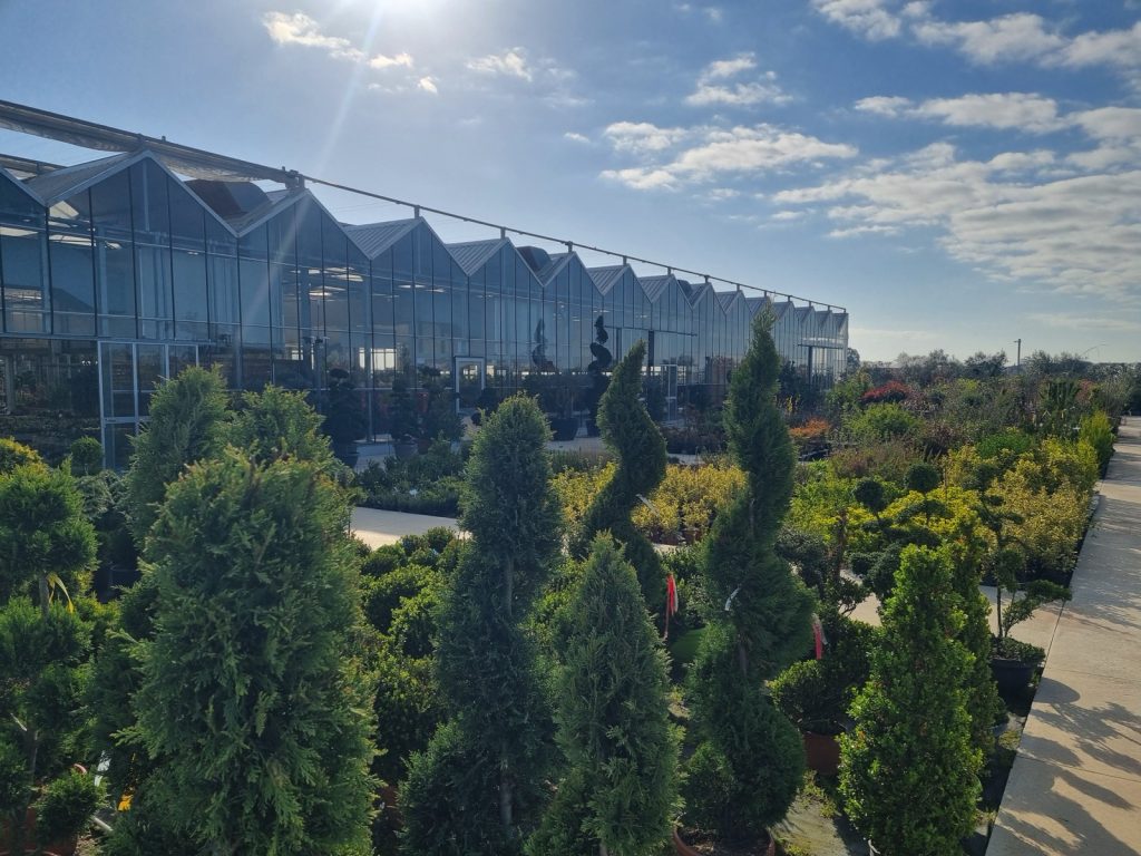 Cellilli Garden Store