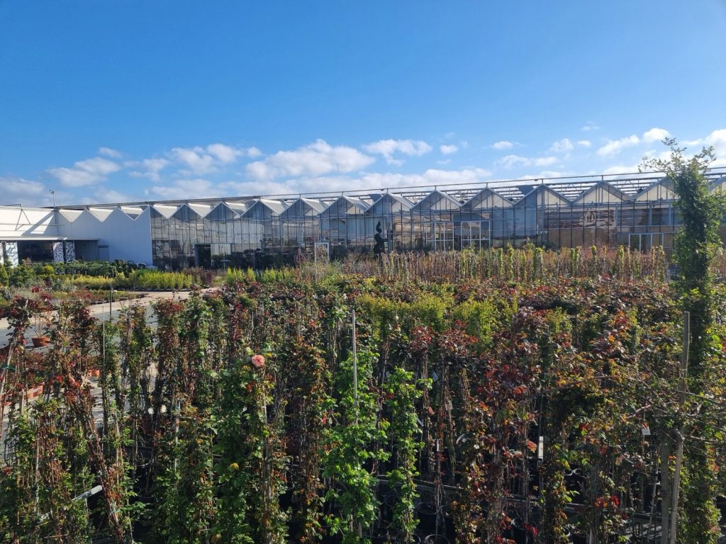 Cellilli Garden Store
