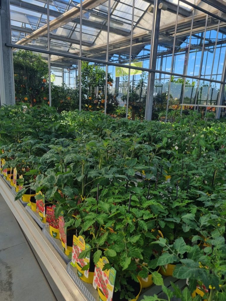 Cellilli Garden Store
