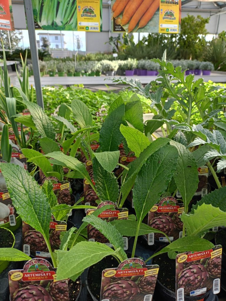 Cellilli Garden Store