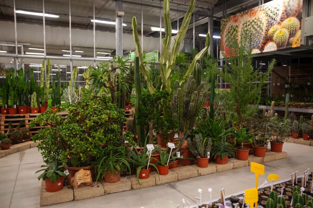 Cellilli Garden Store