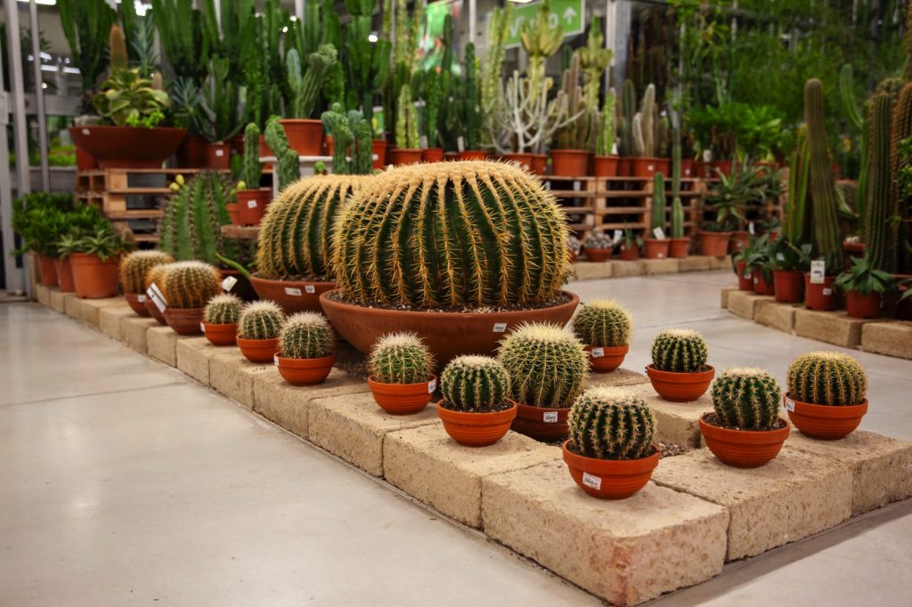 Cellilli Garden Store