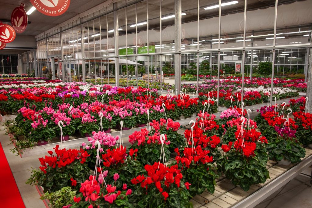 Cellilli Garden Store