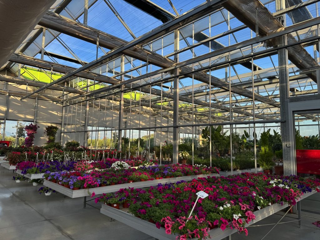 Cellilli Garden Store