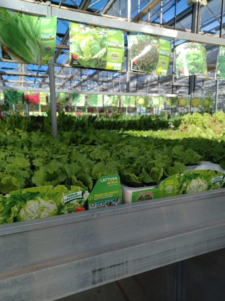 Cellilli Garden Store