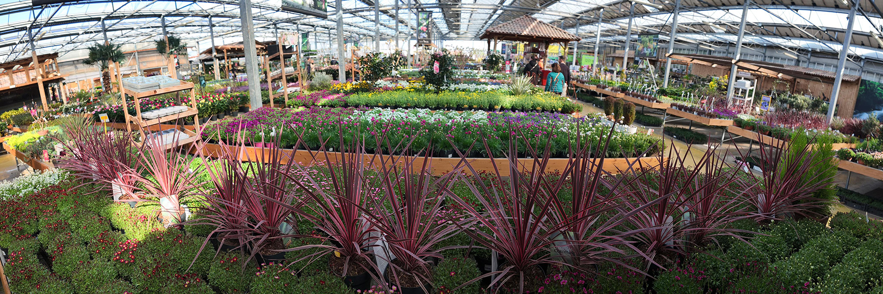 Centro Verde Centro Verde