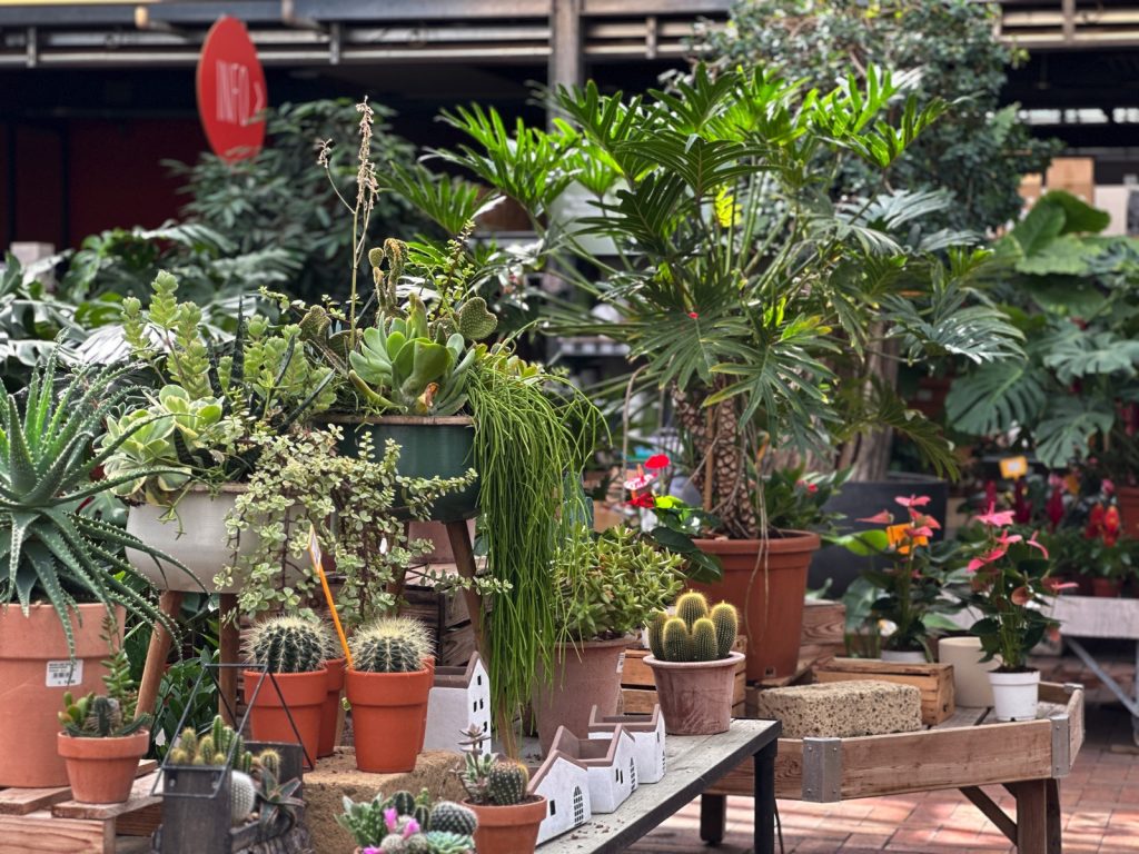 Centro del Verde Toppi