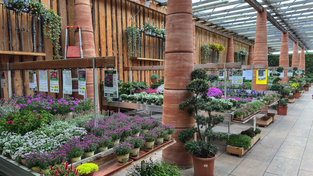Floricoltura Quaiato