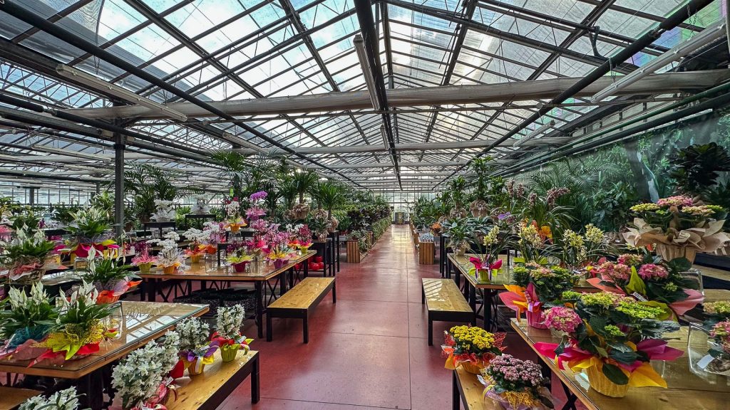 Floricoltura Quaiato