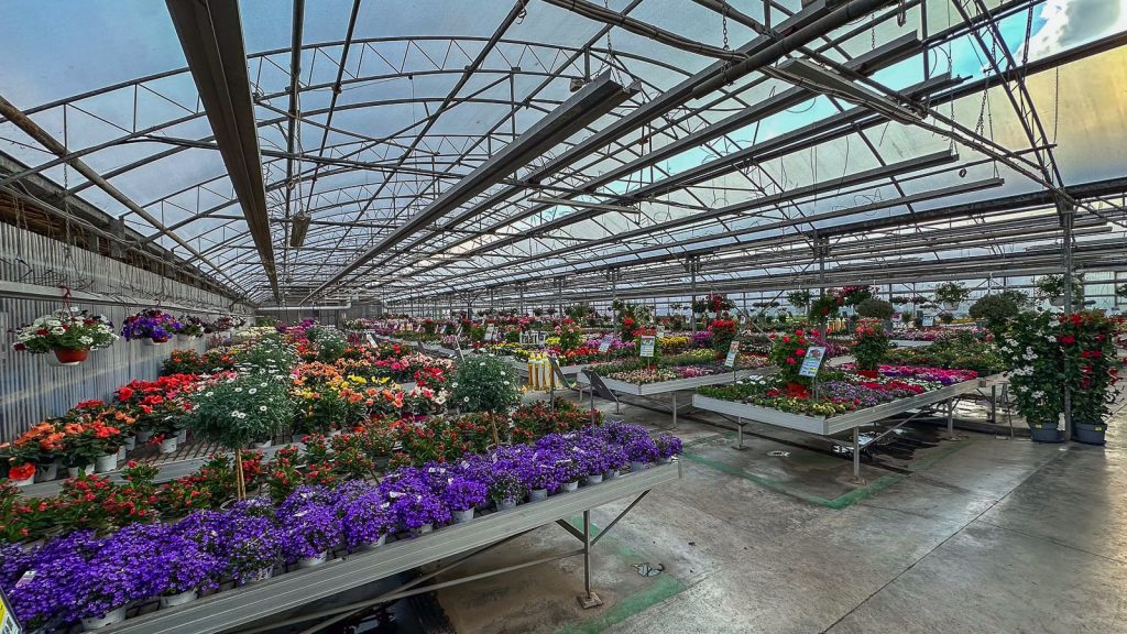 Floricoltura Quaiato