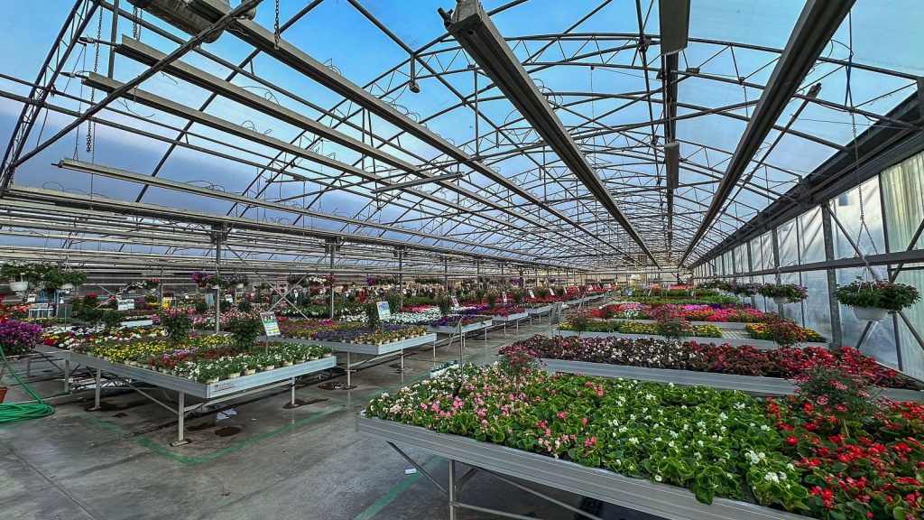 Floricoltura Quaiato