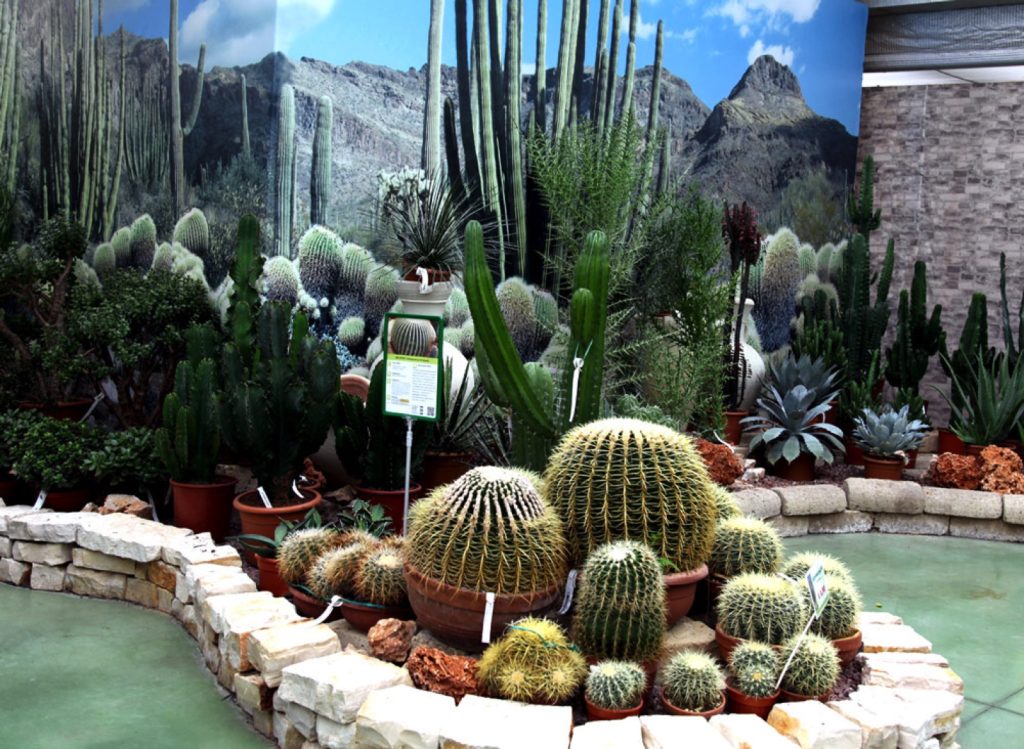 Garden Vicenza Verde