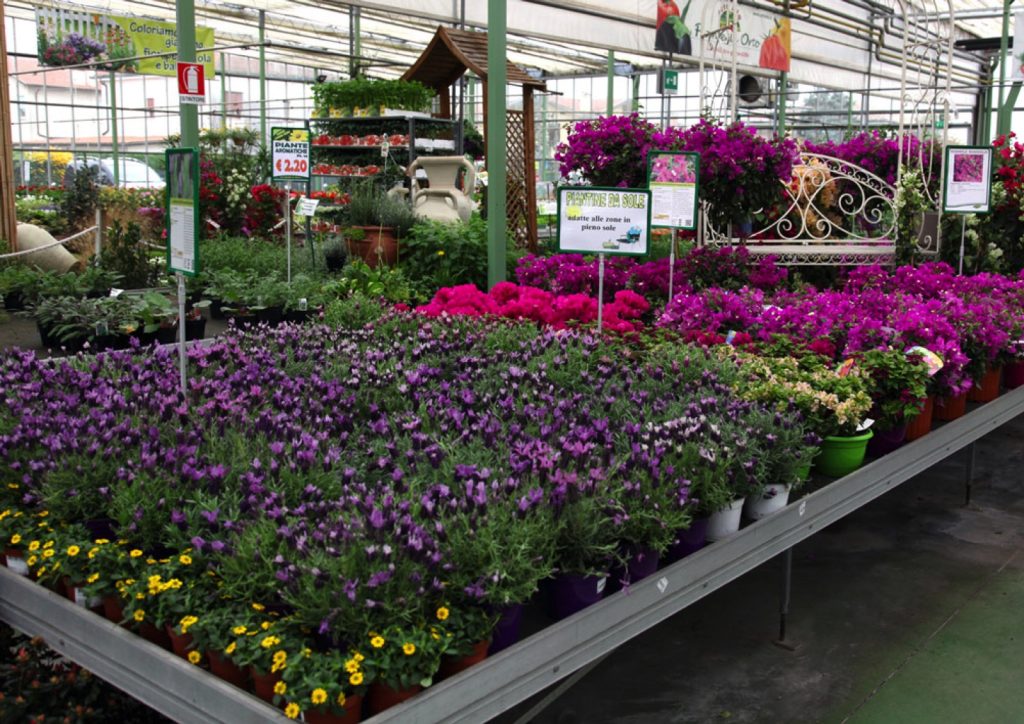 Garden Vicenza Verde