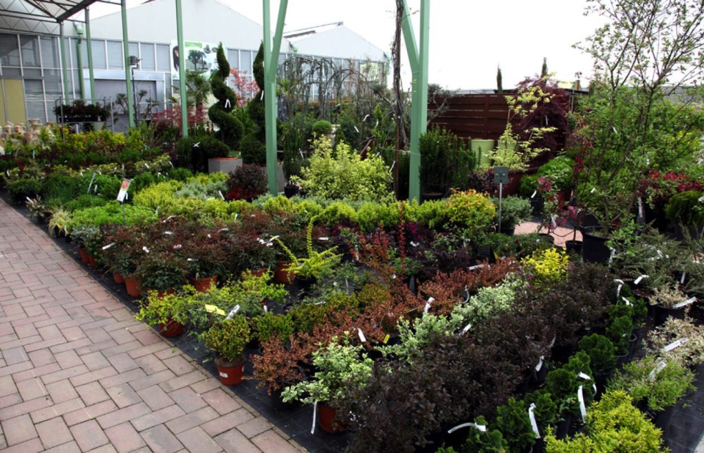 Garden Vicenza Verde