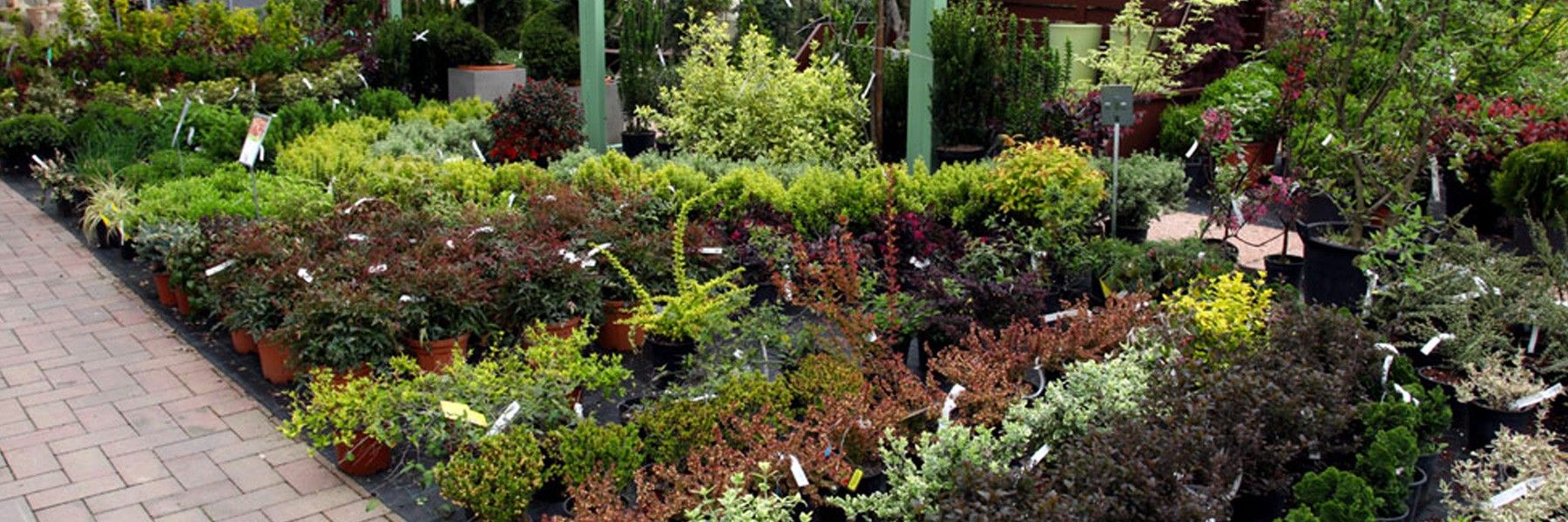 Garden Vicenza Verde SRL Garden Vicenza Verde SRL