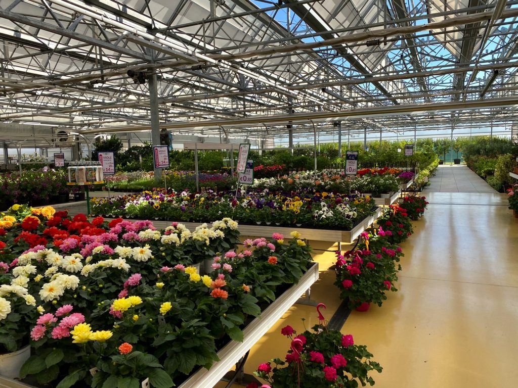 Mondo Verde Garden