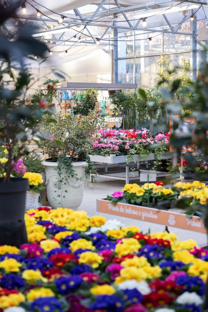 Nicora Garden