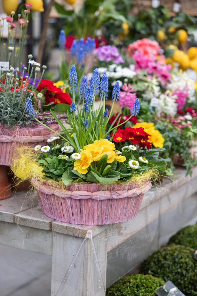 Nicora Garden
