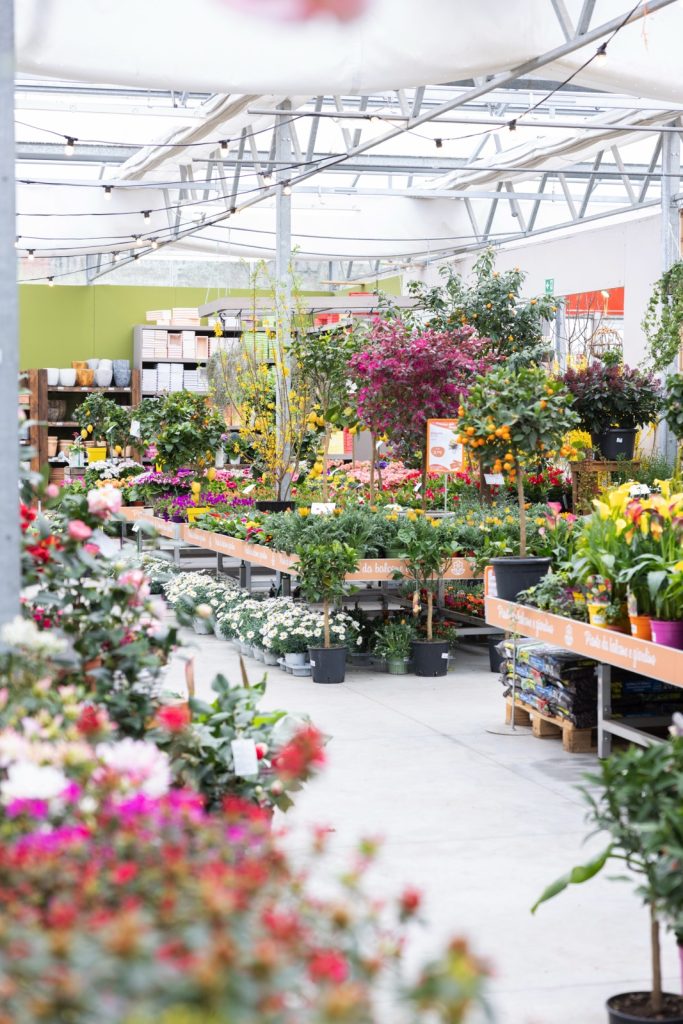 Nicora Garden
