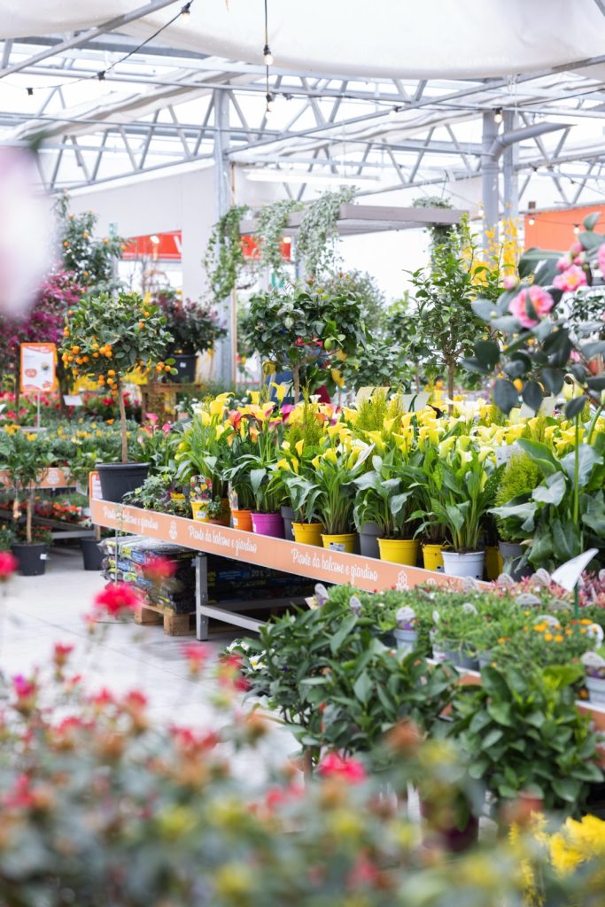 Nicora Garden
