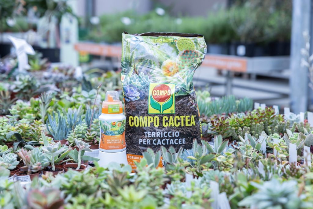 Nicora Garden