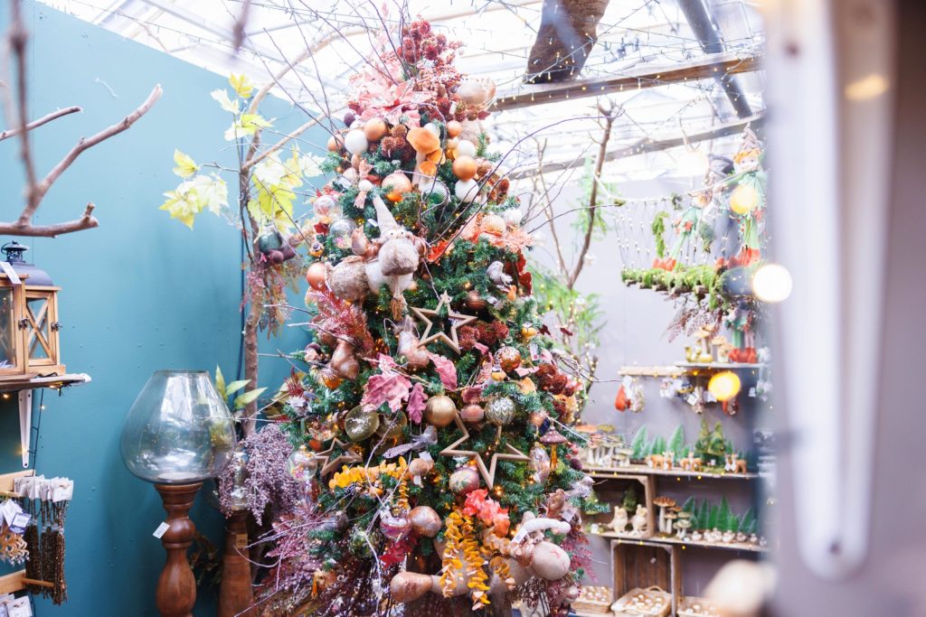 Nicora Garden