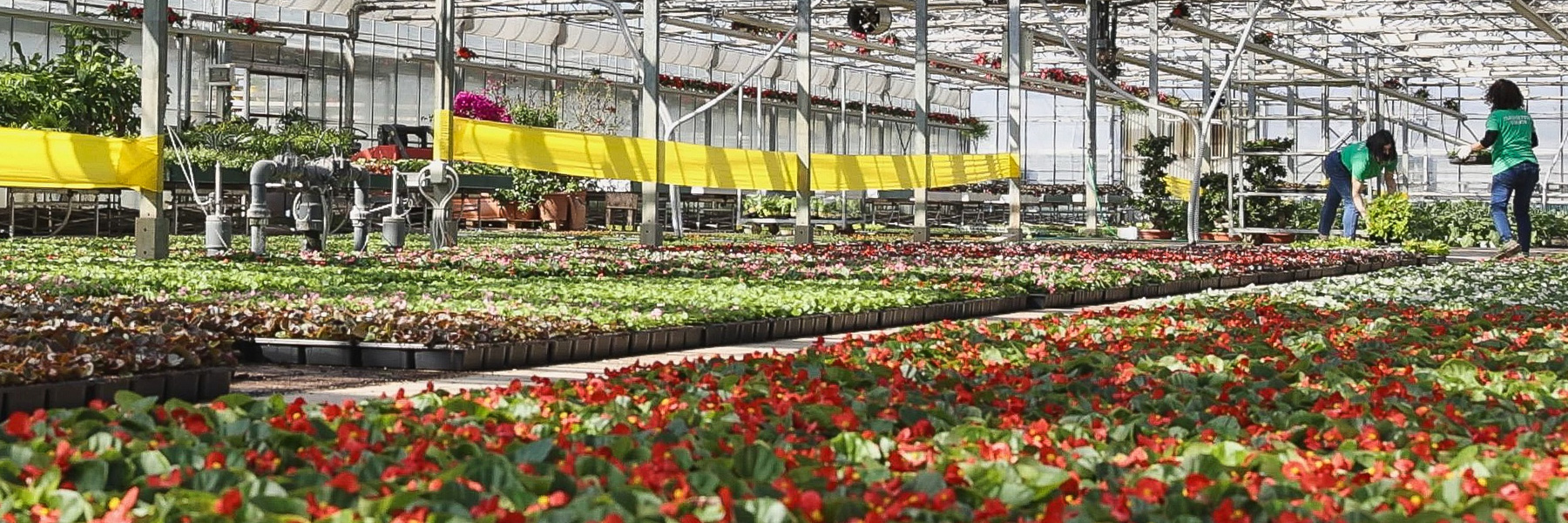 Floricoltura Quaiato - Garden Center Verona