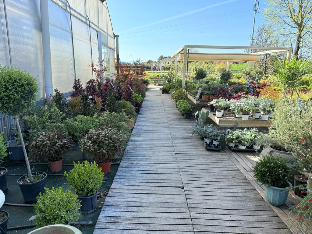 Scarpellini Garden