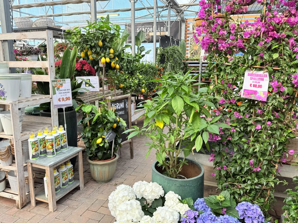 Scarpellini Garden
