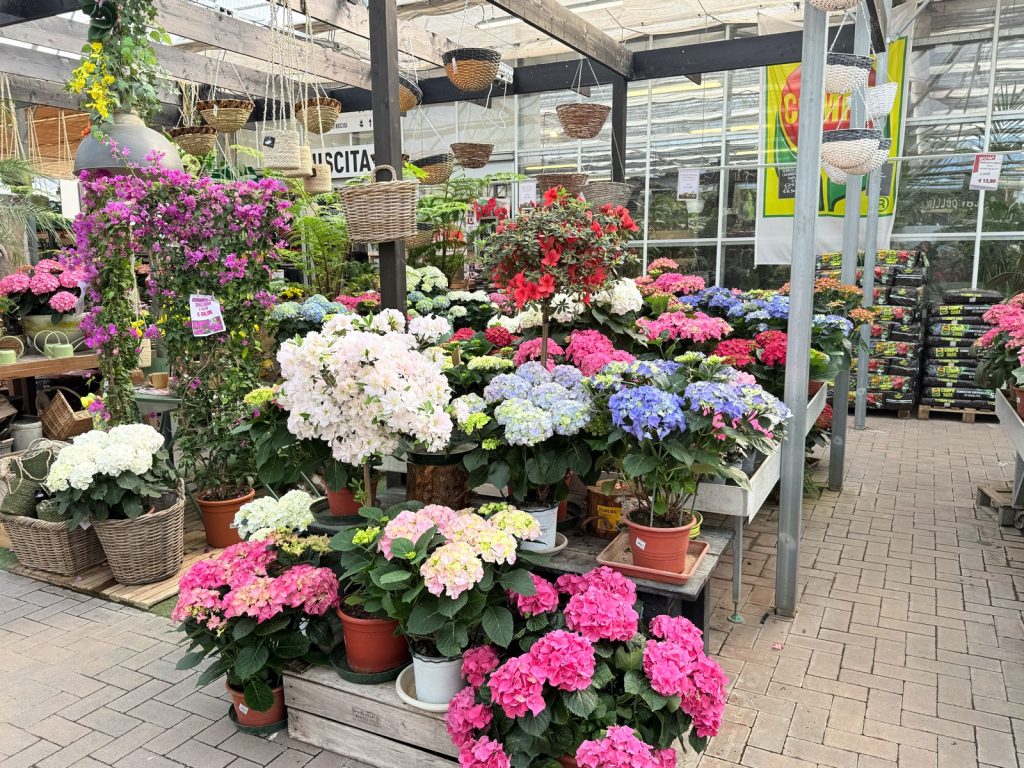 Scarpellini Garden